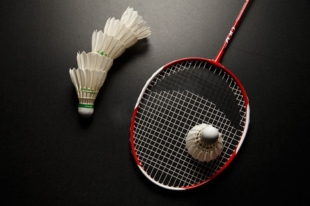 特和罗马展 特和罗马展